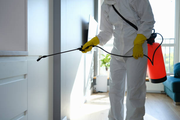 Best Certified Mold Removal  in Mountain View, NC